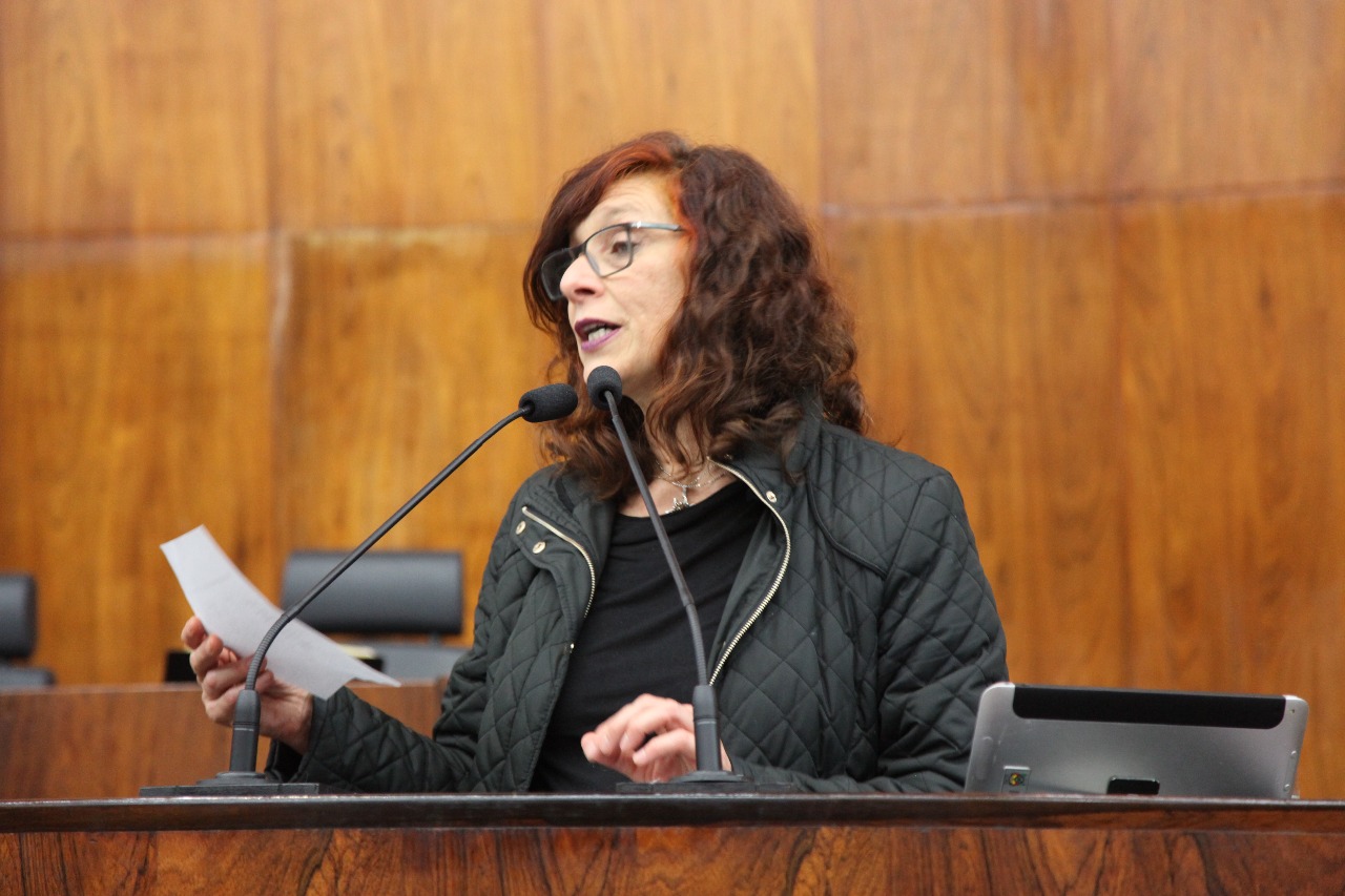 Sofia destaca desafios da Frente de Incentivo à Leitura