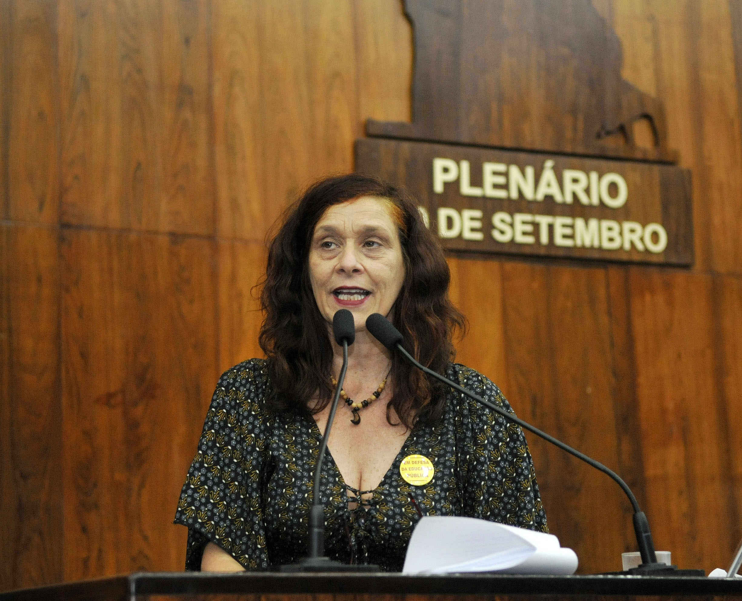 Sofia apela para que governo reveja projeto que resultará em prejuízos à segurança pública