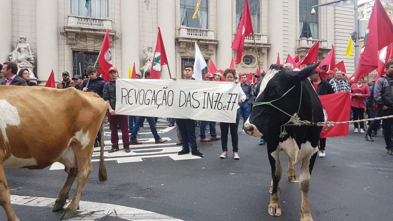 Cadeia Leiteira – Governo cede, mas ainda não atende à expectativa dos produtores