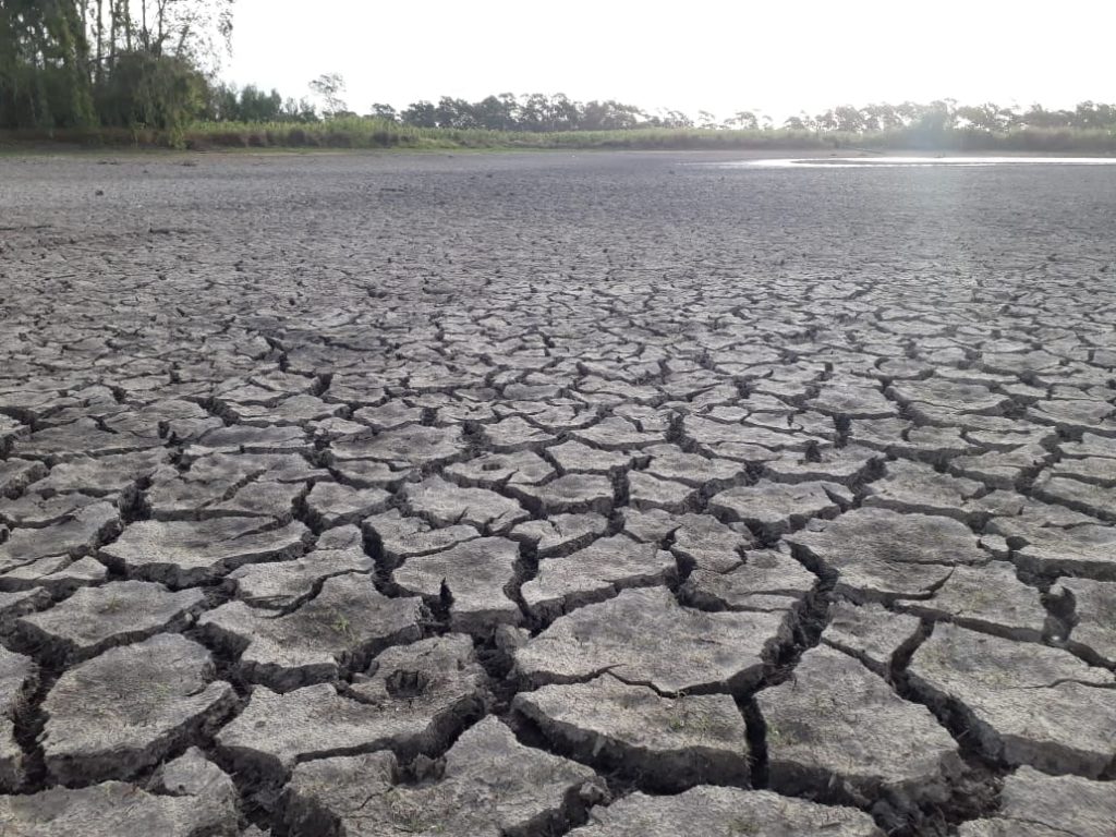 Projeto que anistia o pagamento dos Programas Troca-Troca de Sementes e Safrinha pode beneficiar 50 mil agricultores