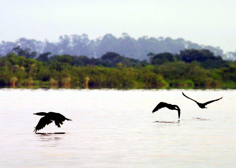 Assembleia realizará audiência pública sobre a gestão das unidades de conservação ambiental no RS