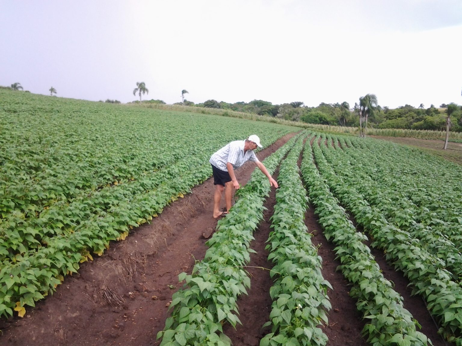 Estabelecimentos penitenciários do RS comprarão gêneros alimentícios da agricultura familiar