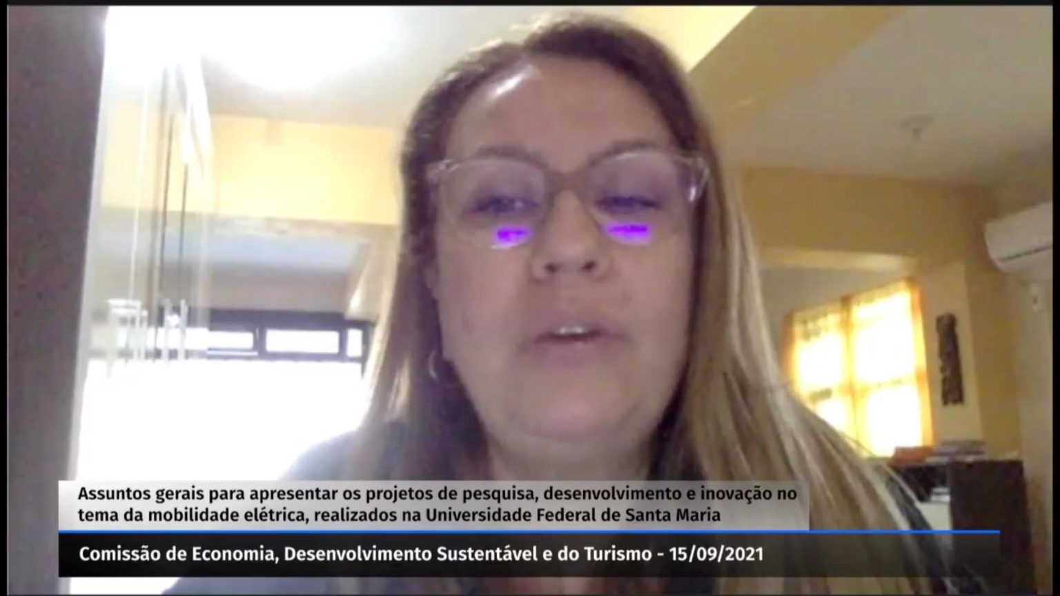 Professora da UFSM fala sobre mobilidade elétrica na Comissão de Economia