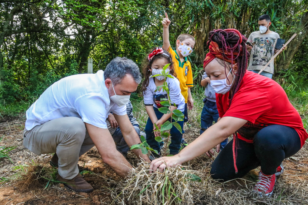 Plantio de mudas frutíferas e nativas no Morro Santana marca ação em celebração ao Dia da Árvore