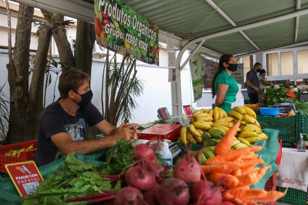 Feira Agroecológica da Assembleia Legislativa reabre depois de 20 meses