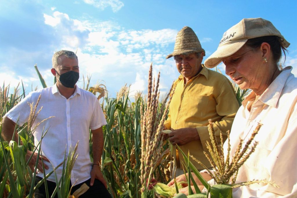 Estiagem: Edegar Pretto cobra crédito emergencial para a agricultura no RS