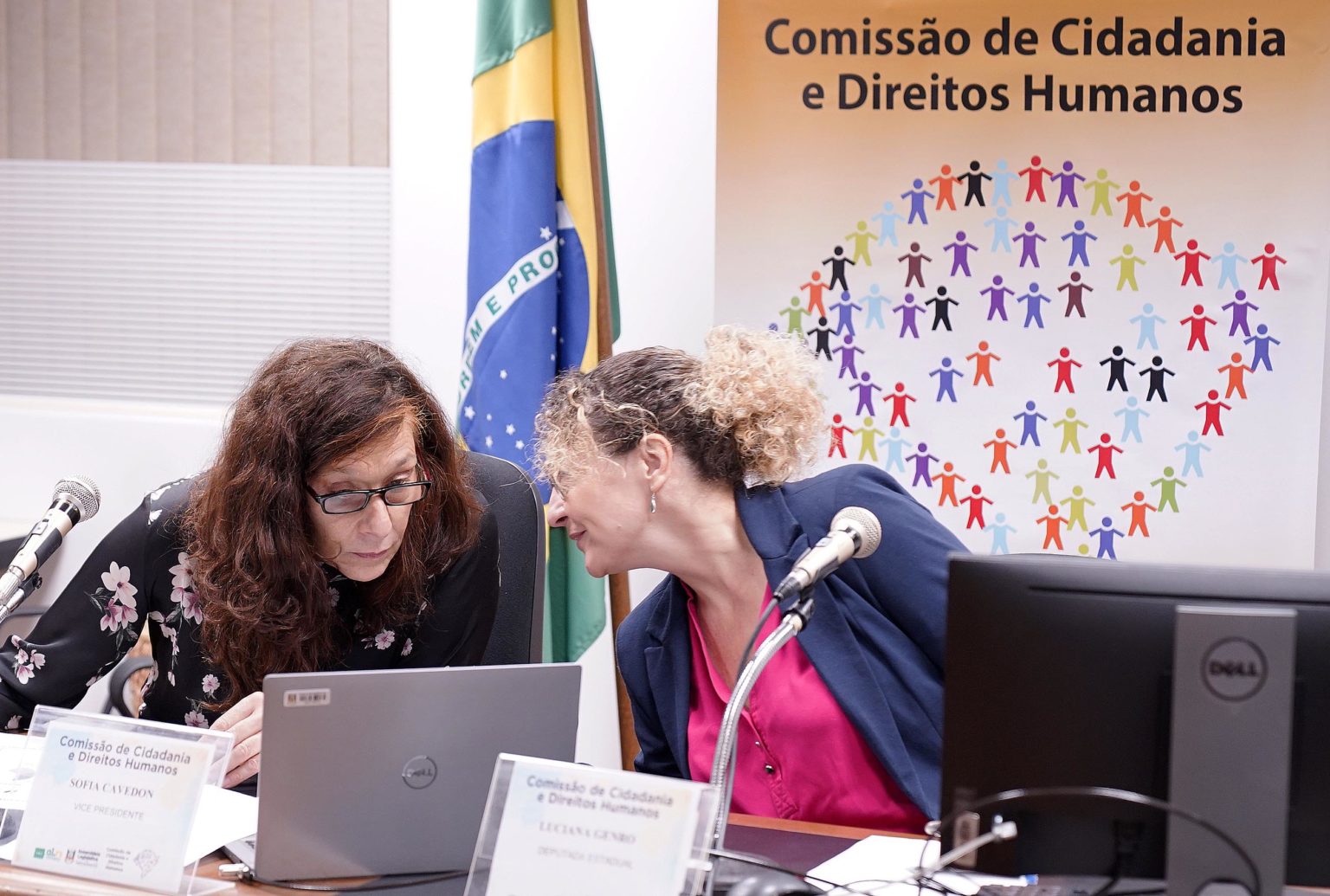 CCDH discute avanço do feminicídio no RS e fragilidades na rede de proteção estadual