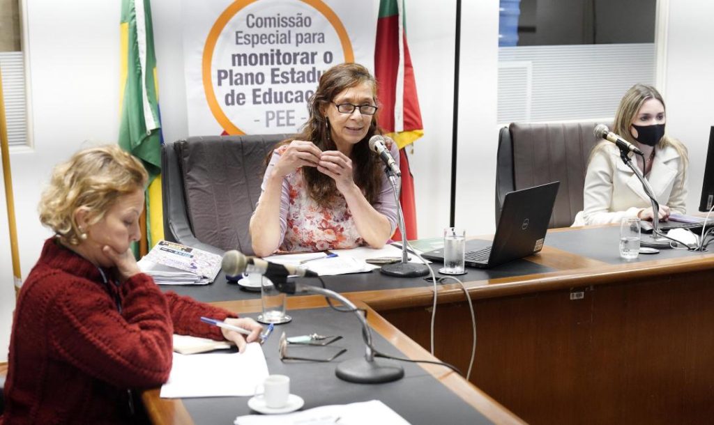 Comissão do Plano Estadual de Educação analisa metas relacionadas à superação de desigualdades