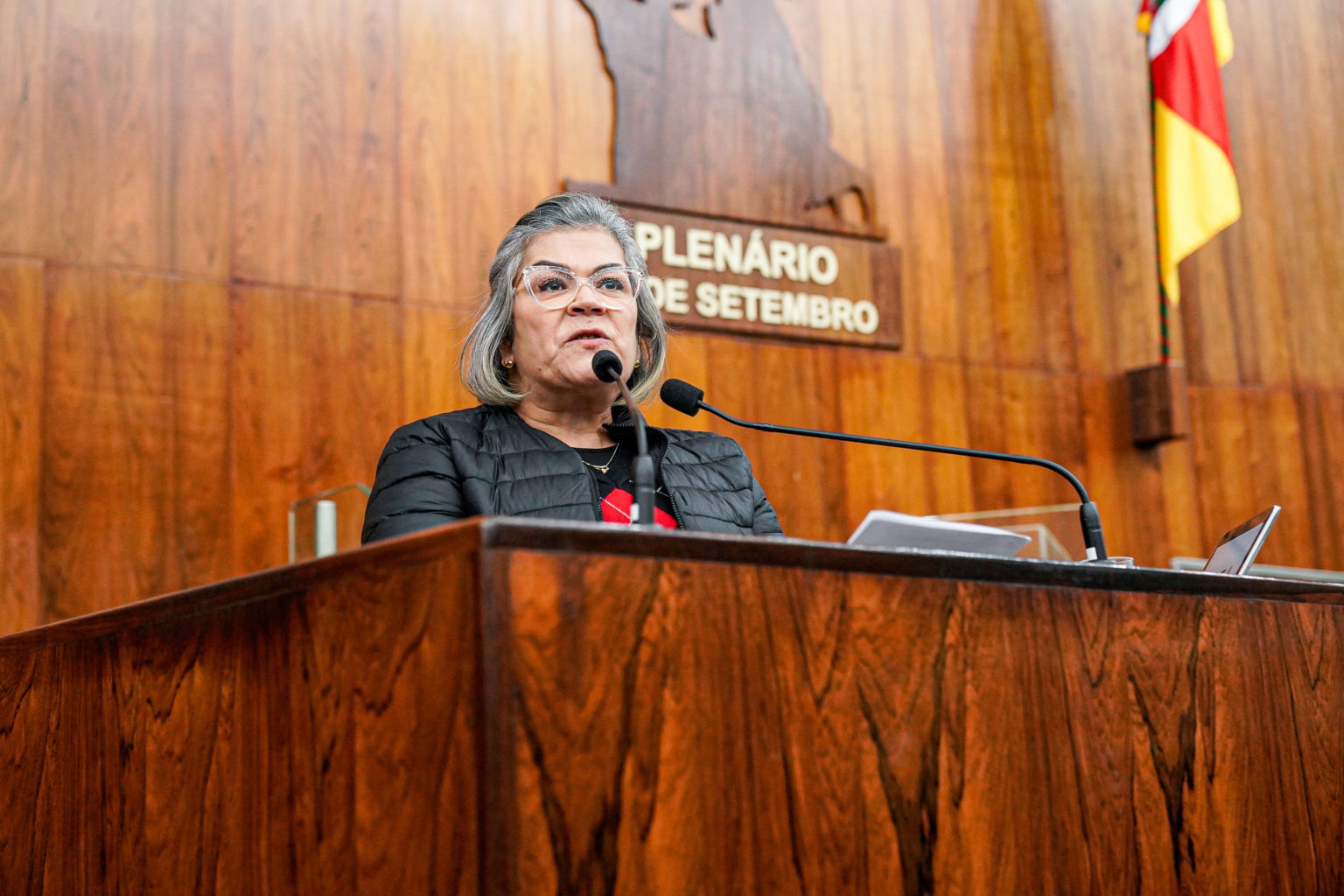 Sem poder se transportar, o trabalhador não tem emprego e não tem renda, destaca Stela Farias