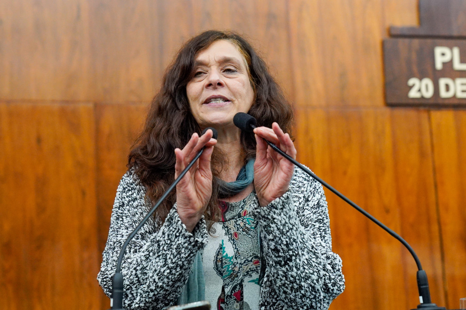 Sofia argumenta contra proposta que retira obrigatoriedade de ensino fundamental completo