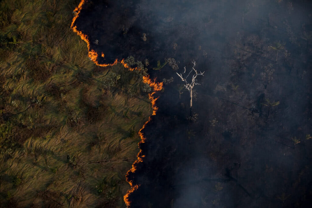 Qual o espaço da crise climática e do meio ambiente nas eleições?