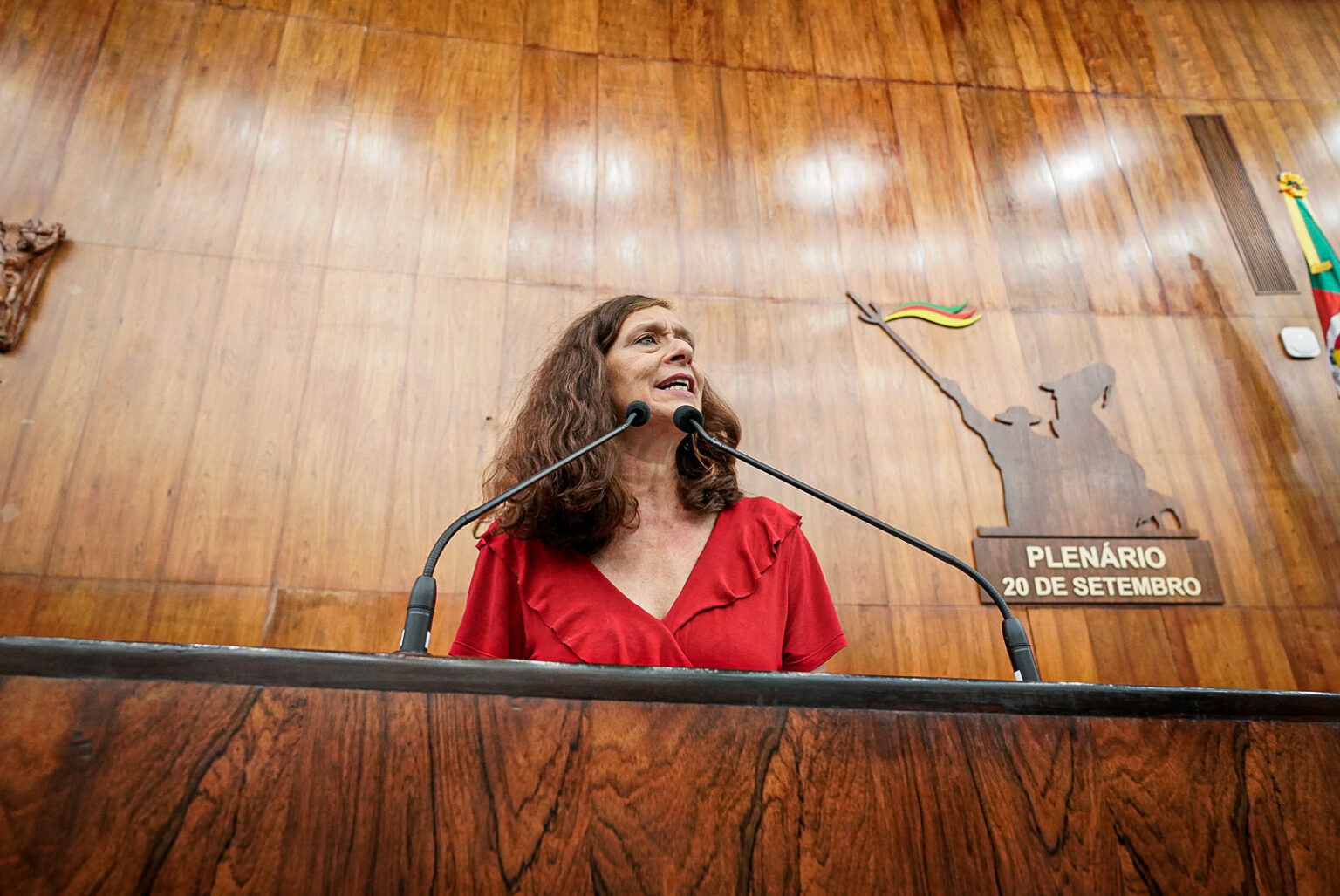 Com ressalvas, Bancada do PT dá voto a favor do Selo “Em frente, Mulher”