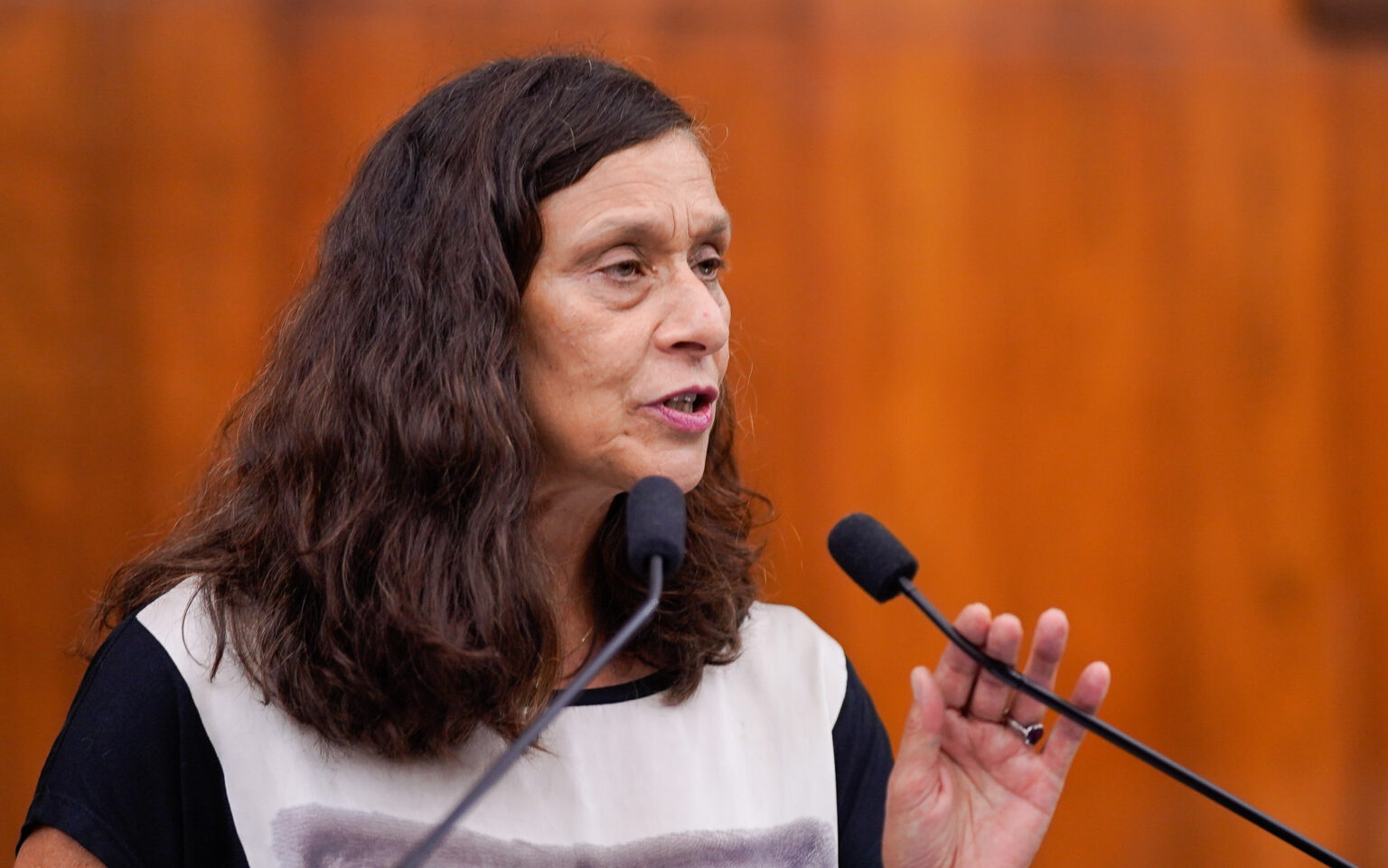 Sofia Cavedon pede punição por violações à Democracia no dia 8 de janeiro