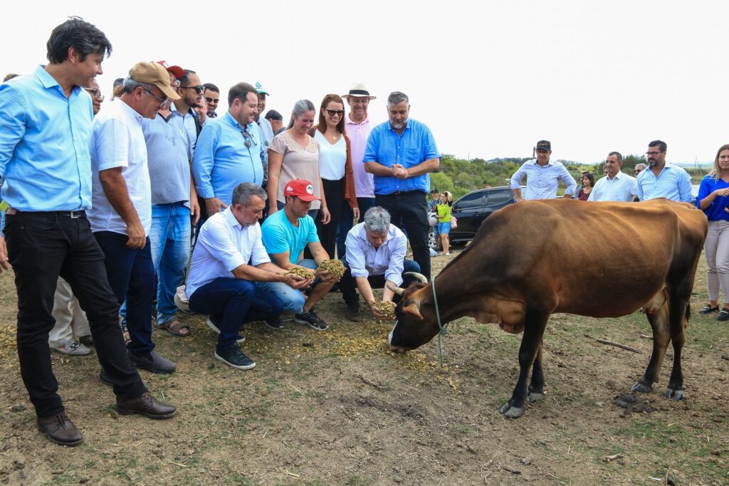 Estiagem: Governo Lula anuncia socorro aos agricultores gaúchos