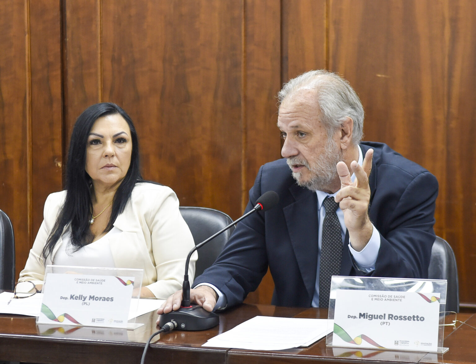 Deputado Rossetto aprova Audiência Pública na Assembleia para debater situação dos hospitais da Região Metropolitana