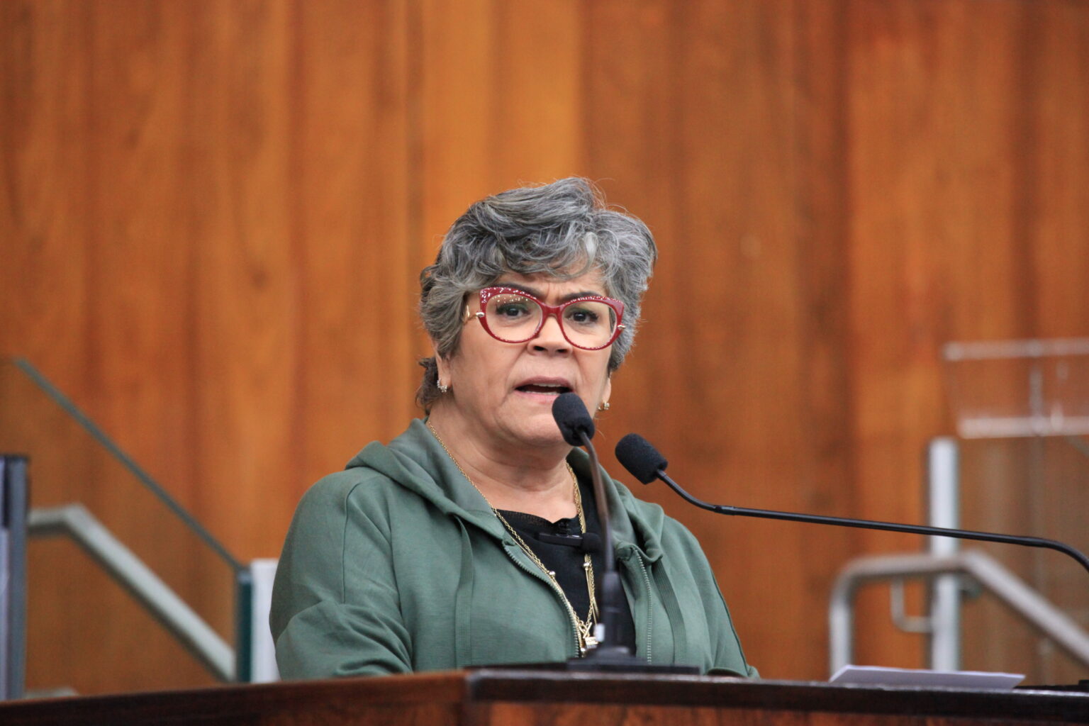 Stela Farias destaca a importância das DEAMs 24 horas e elogia a retomada de políticas federais em defesa das mulheres