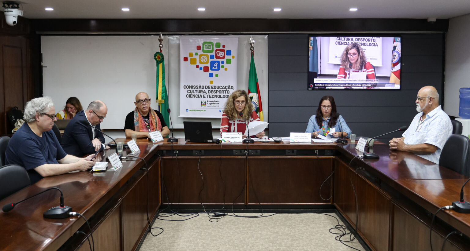 Deputada Sofia cobra diálogo com representantes da Cultura em Audiência Pública