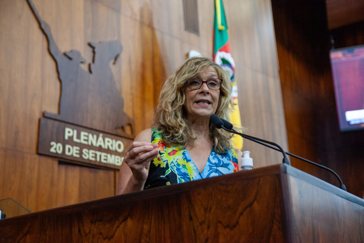 Sofia critica repressão policial e defende a cultura do Carnaval de Porto Alegre