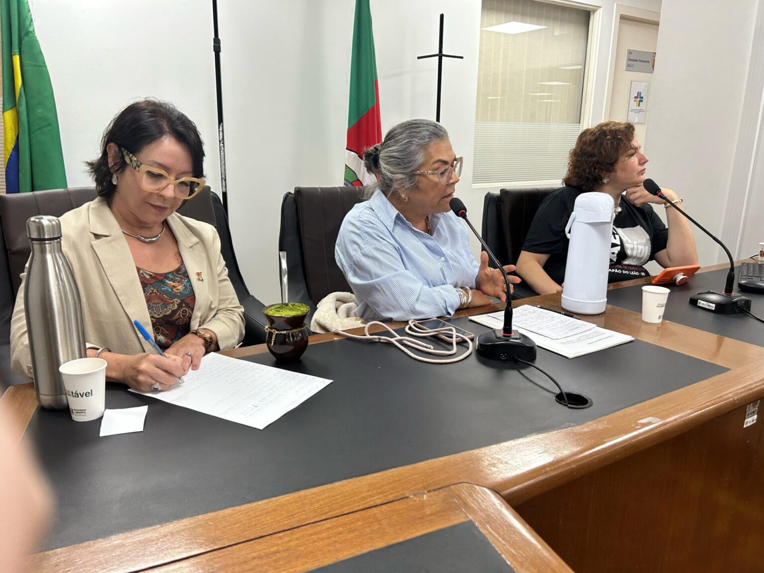 Stela realiza debate sobre direitos das crianças atípicas no RS