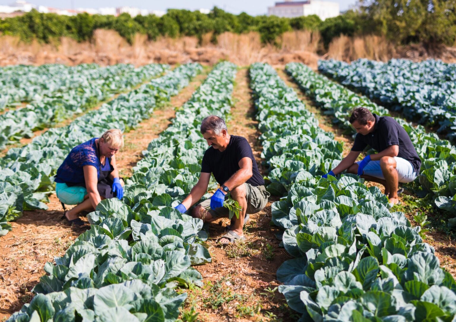 Bancada do PT apresenta emenda e garante impessoalidade em Projeto de Lei para recuperação da agricultura familiar