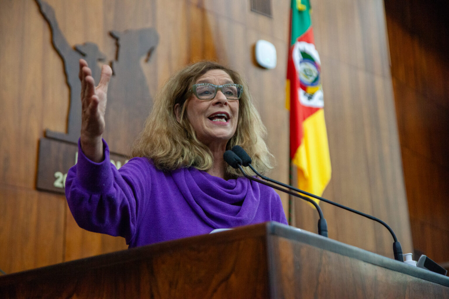 “Processo de contratação simplificada não deu certo na recuperação de escolas”, diz Sofia