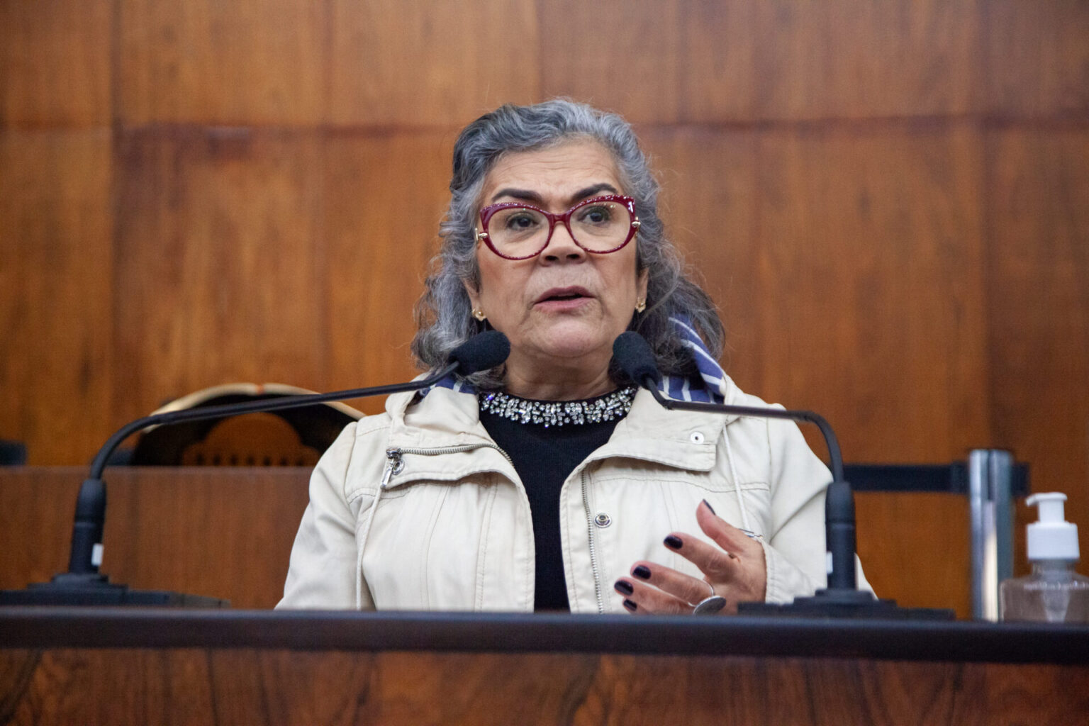 Governo Leite ainda não utilizou verba federal para contenção de cheias, diz Stela