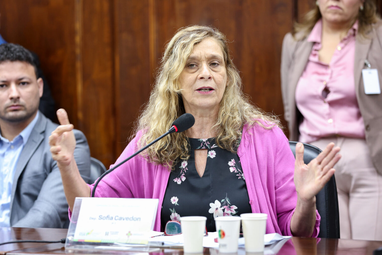 Omissão e intromissão da Seduc ampliam problemas no Instituto de Educação Flores da Cunha, afirma Sofia Cavedon