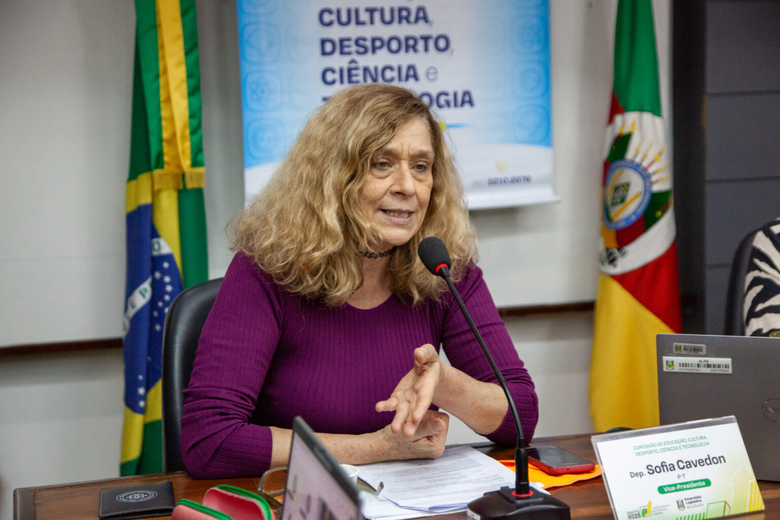 Gasômetro é do povo, não à privatização (Artigo: por Sofia Cavedon)