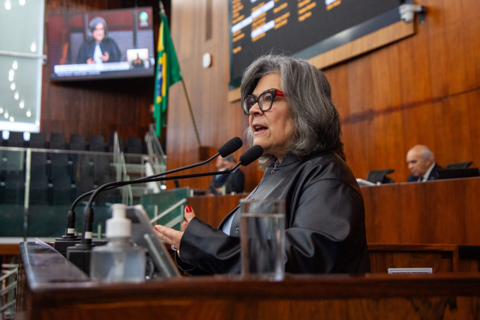 Deputada Stela Farias denuncia falta de transparência e cobra do Governo Leite obras contra cheias em Alvorada Deputada Stela Farias denuncia falta de transparência e cobra do Governo Leite obras contra cheias em Alvorada