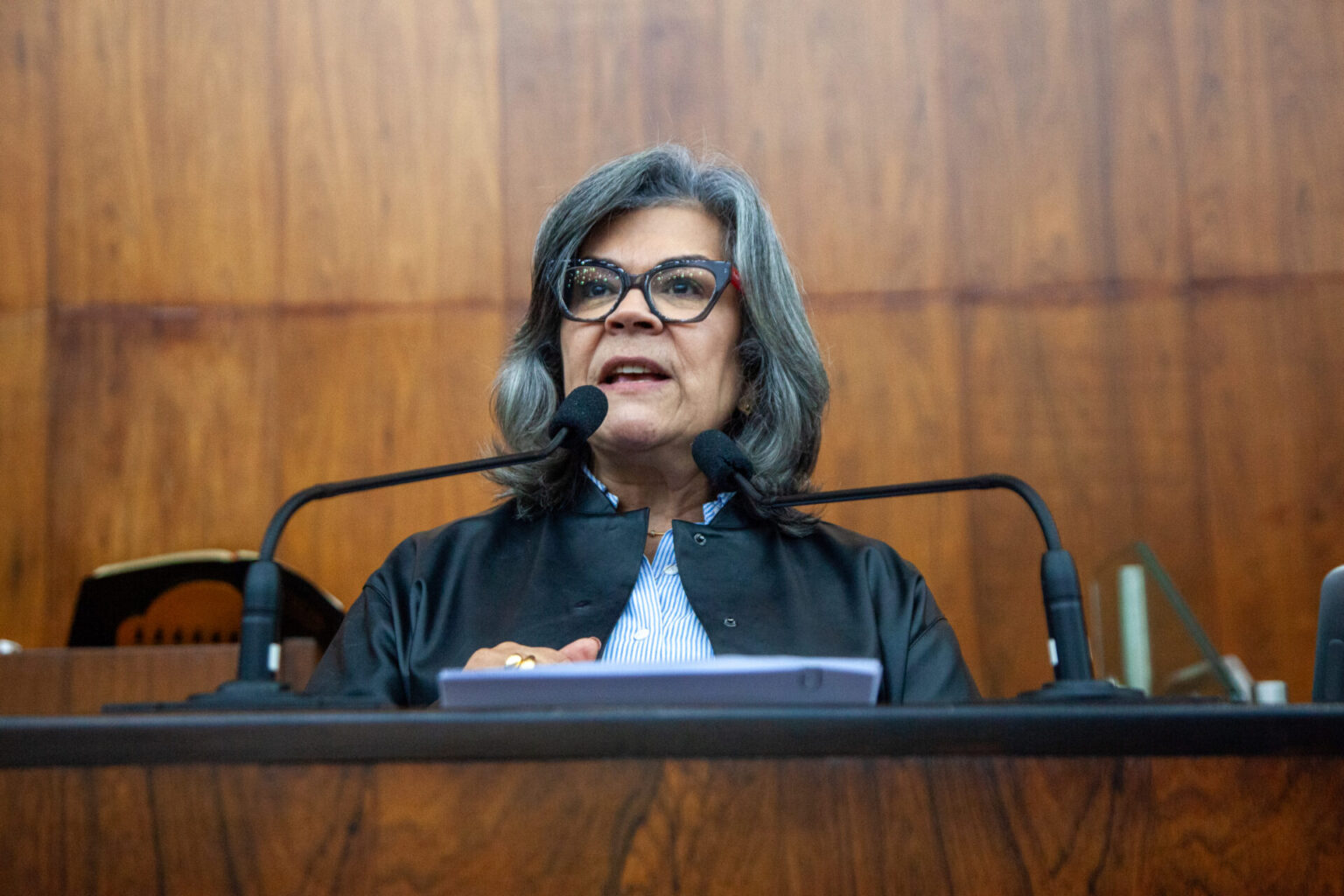 Projeto da deputada Stela que garante acesso de surdos aos serviços de atendimento ao consumidor avança no Parlamento