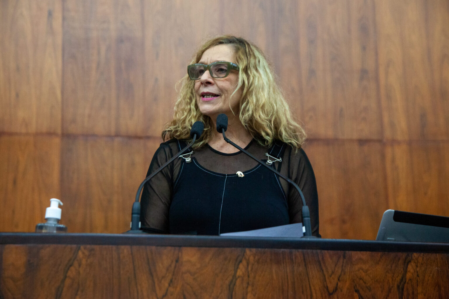 Sofia Cavedon denuncia esquema fraudulento de terceirizações na educação gaúcha Sofia Cavedon denuncia esquema fraudulento de terceirizações na educação gaúcha