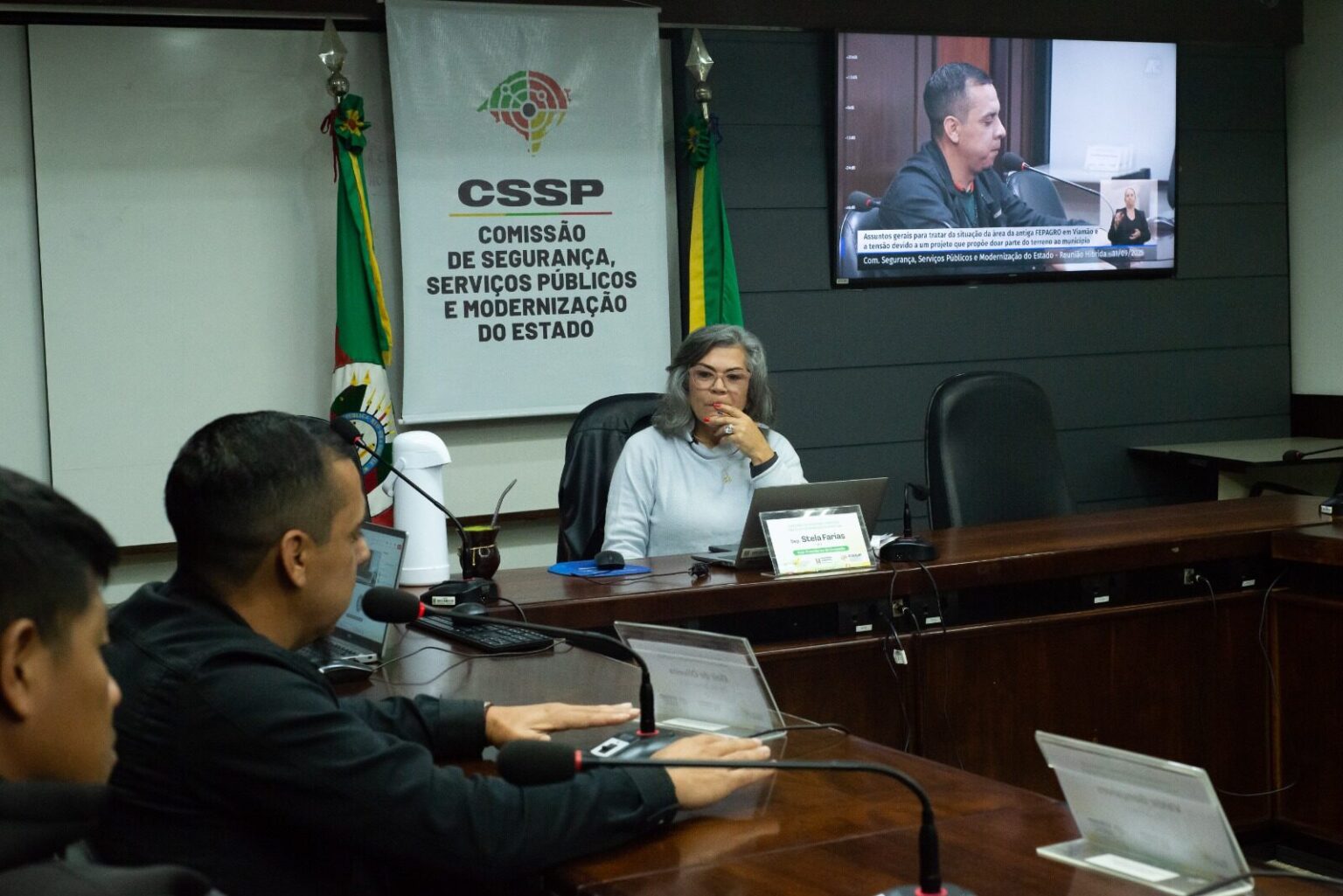 Stela promove debate na Comissão de Segurança e Serviços Públicos sobre despejo de comunidade indígena