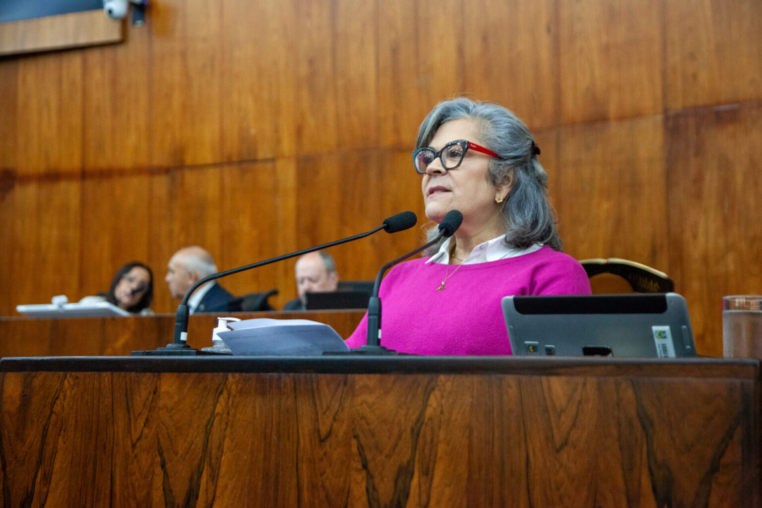 Stela aponta indícios de prevaricação da Fepam em caso de perfuração de poços artesianos em Viamão