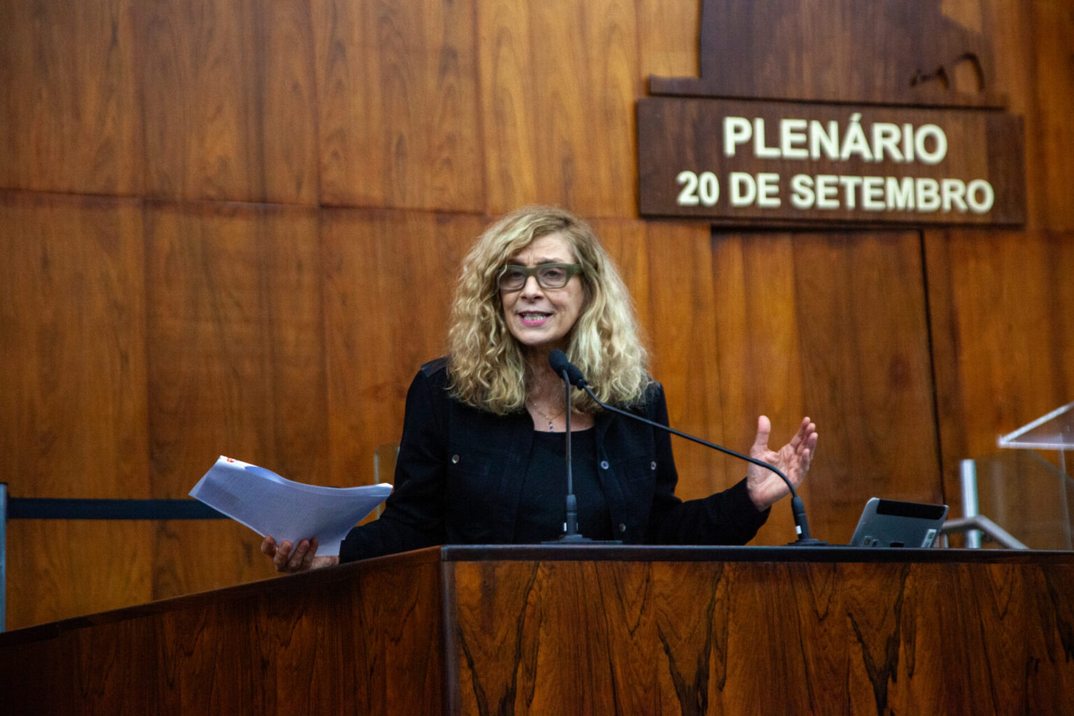 Escola Sem Violência  (Artigo: por Sofia Cavedon)