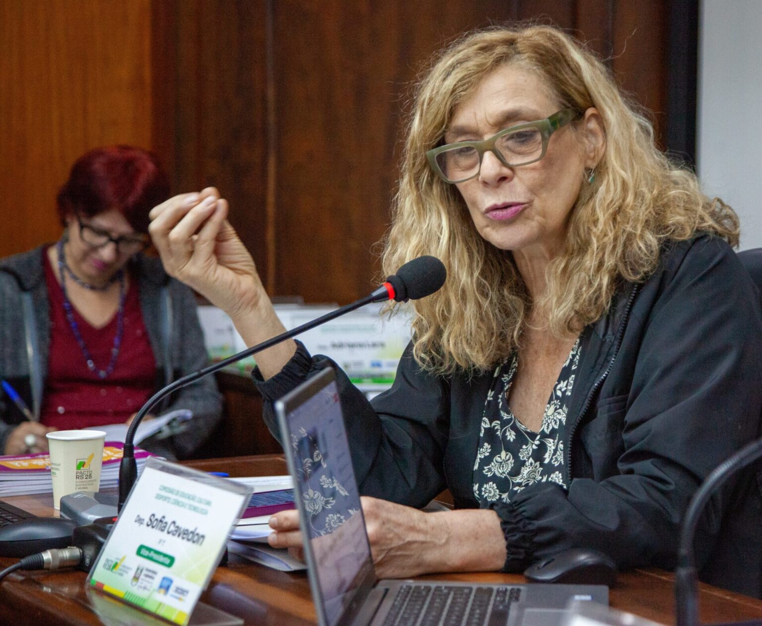 Comissão destaca programa nacional que leva arte e cultura a escolas de tempo integral