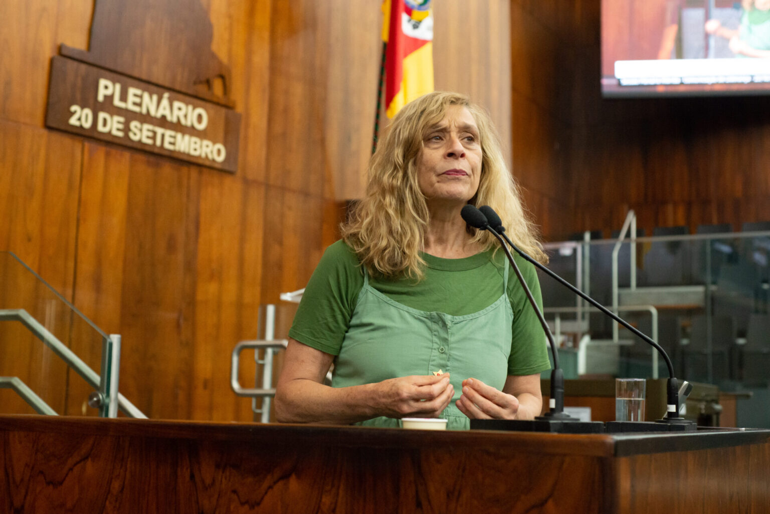 Sofia denuncia desmonte da educação promovido por Leite e Melo