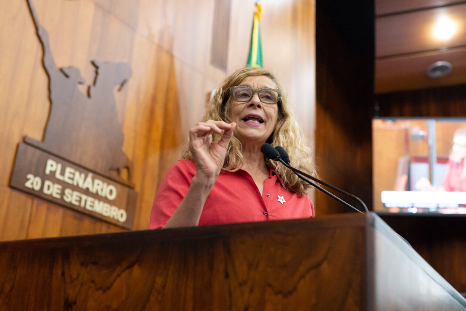 Sofia Cavedon denuncia desmonte do IPE-Saúde após reforma aprovada pelo governo Leite Sofia Cavedon denuncia desmonte do IPE-Saúde após reforma aprovada pelo governo Leite