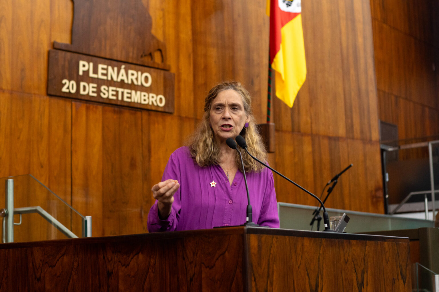 Bancada do PT/PCdoB apoia ajuste em Lei que assegura vagas para mulheres na área da segurança