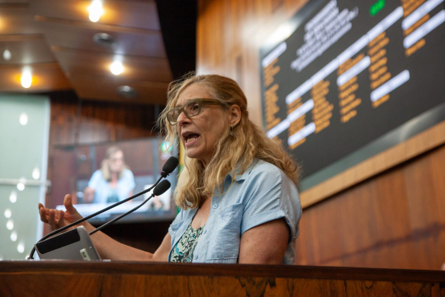 Projeto de Lei do governo Leite fragiliza Sistema Único de Assistência Social, afirma Sofia Cavedon