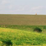 Lançamento de documentário marca o Dia Nacional do Bioma Pampa