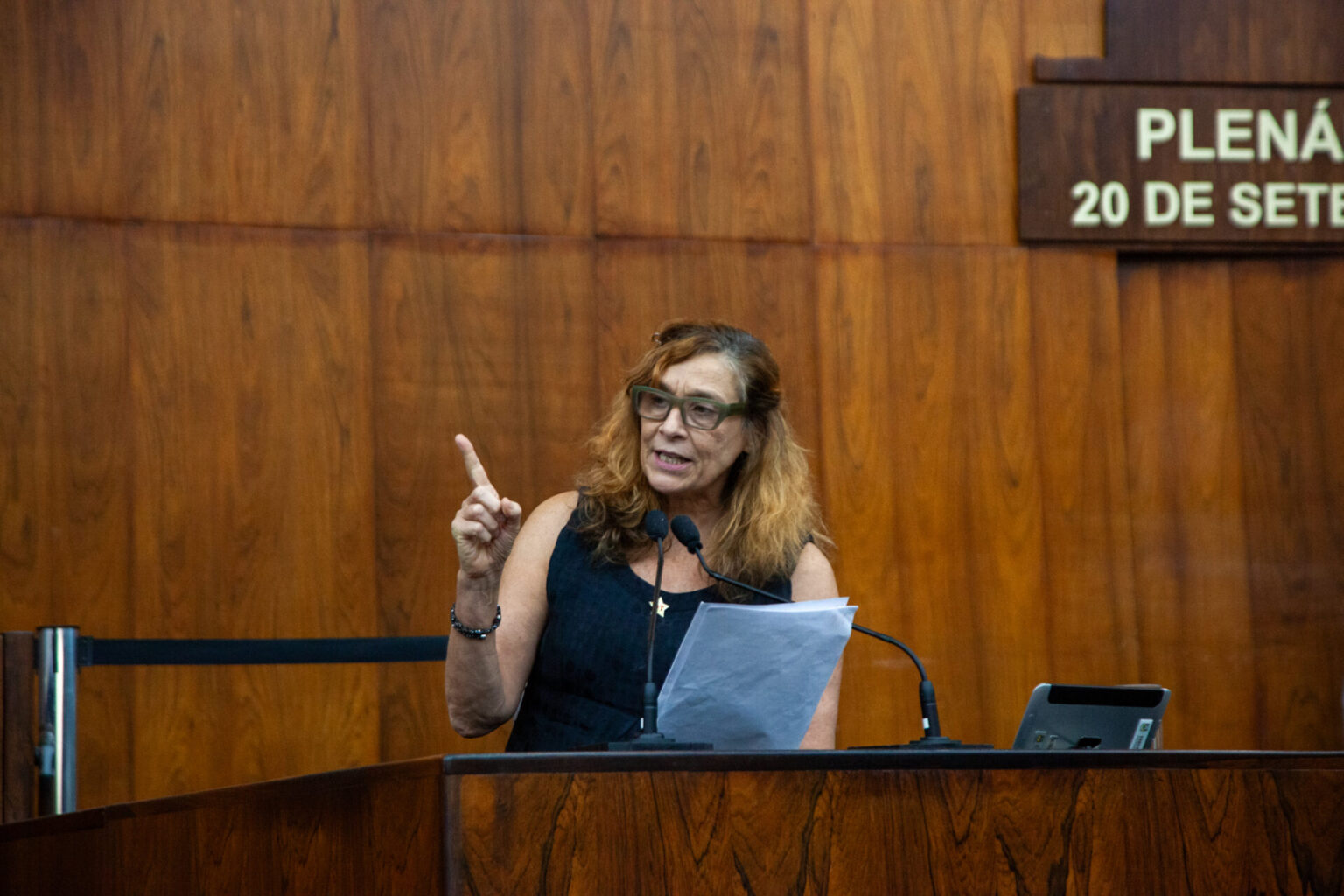 Sofia Cavedon denuncia violência política de gênero na CCJ