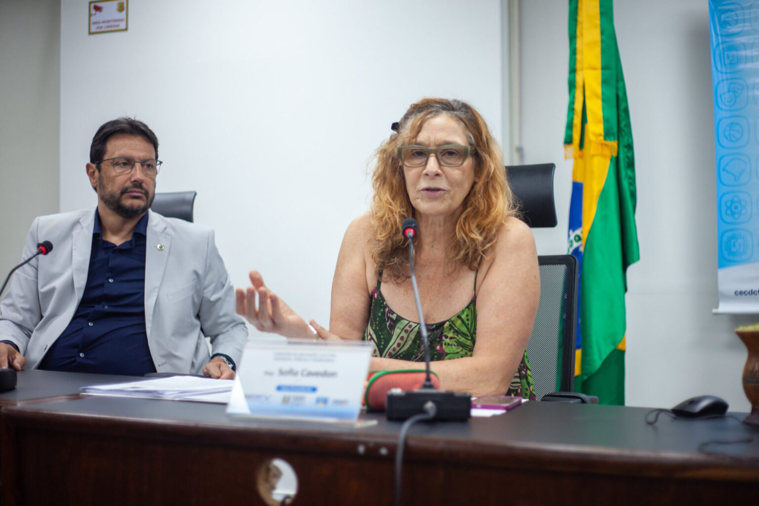 Comissão de Educação aprova campanha “21 Dias de Ativismo” contra violência às mulheres