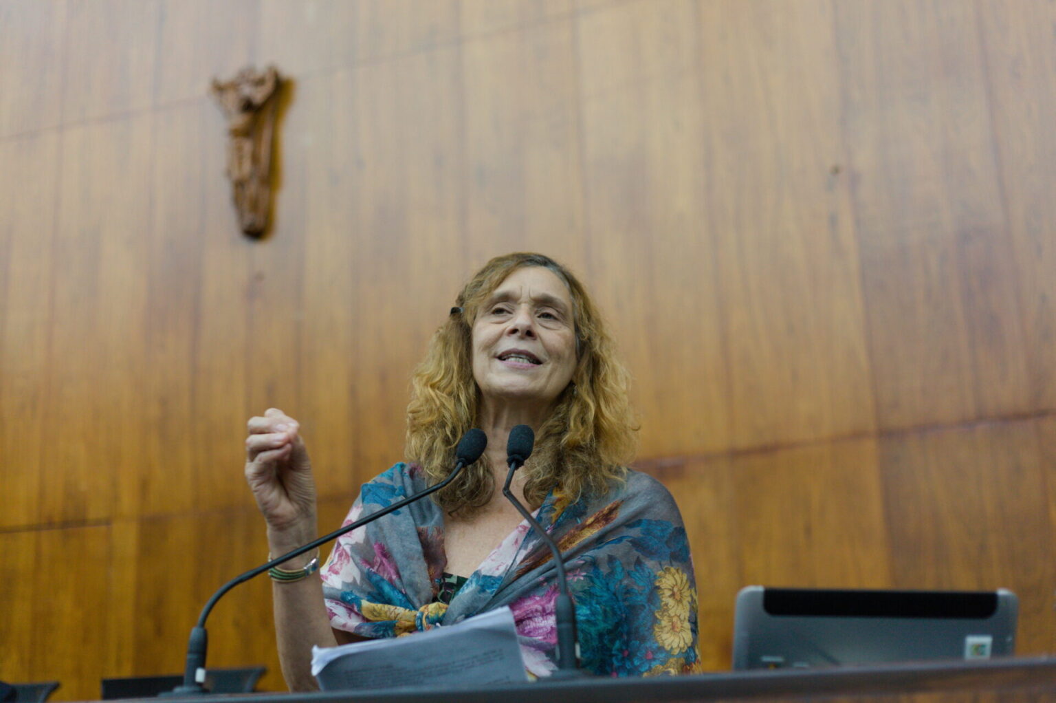 Deputada Sofia critica tarifa altas, multas e falta de obras em rodovias do Bloco 3