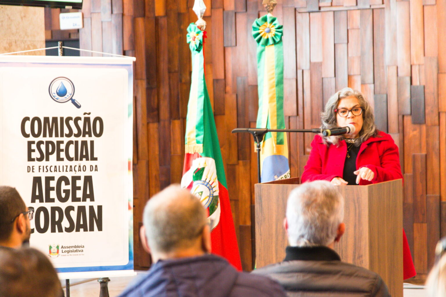 Comissão presidida por Stela Farias vai investigar impactos da privatização da Corsan Comissão presidida por Stela Farias vai investigar impactos da privatização da Corsan