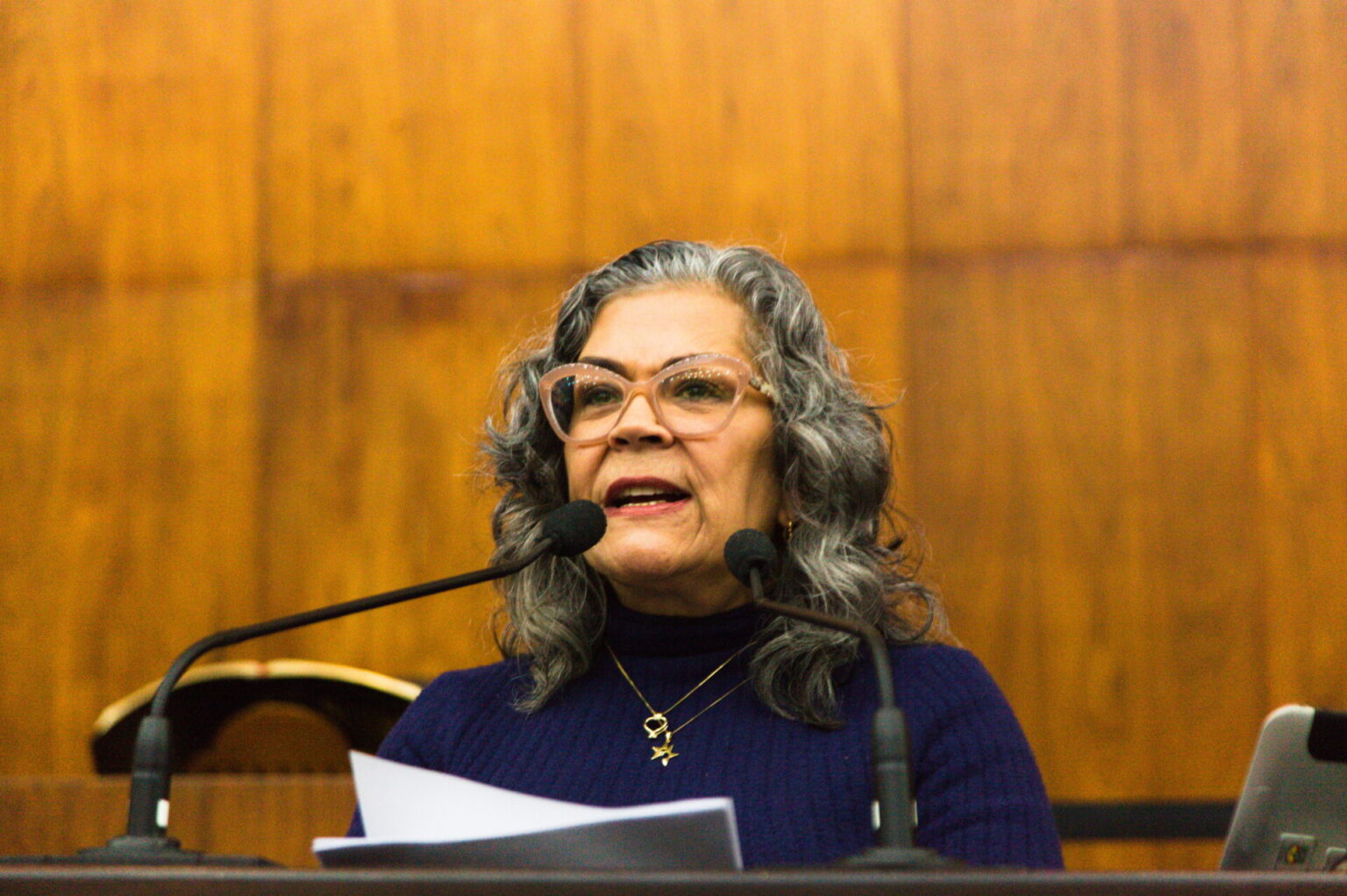 Stela Farias denuncia os impactos da concessão das escolas públicas do estado