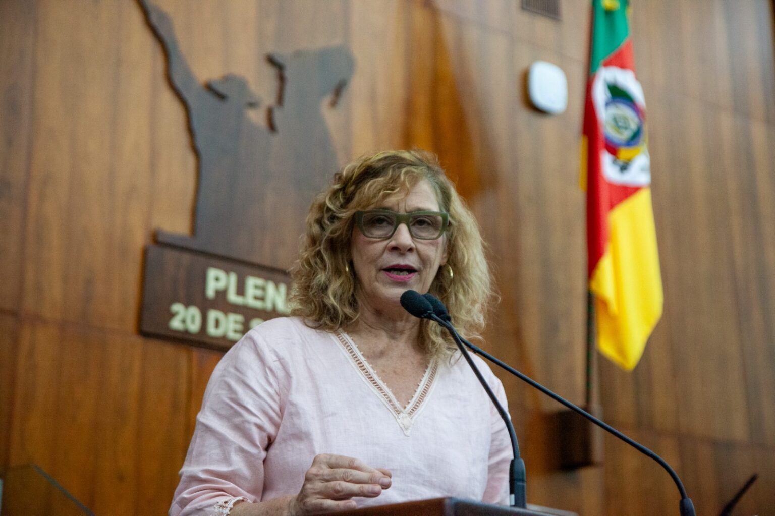 Bancada do PT aponta falta de qualidade dos serviços da Corsan/Aegea e falhas na fiscalização