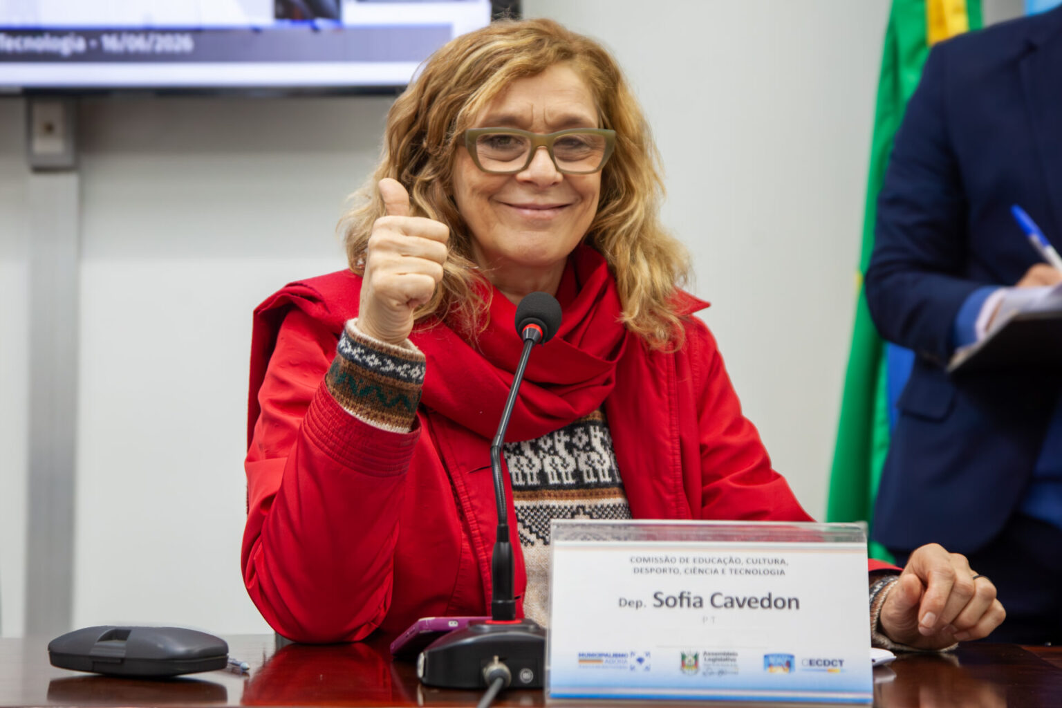 Comissão Especial debate fortalecimento dos conselhos municipais e implementação do Sistema Nacional de Cultura