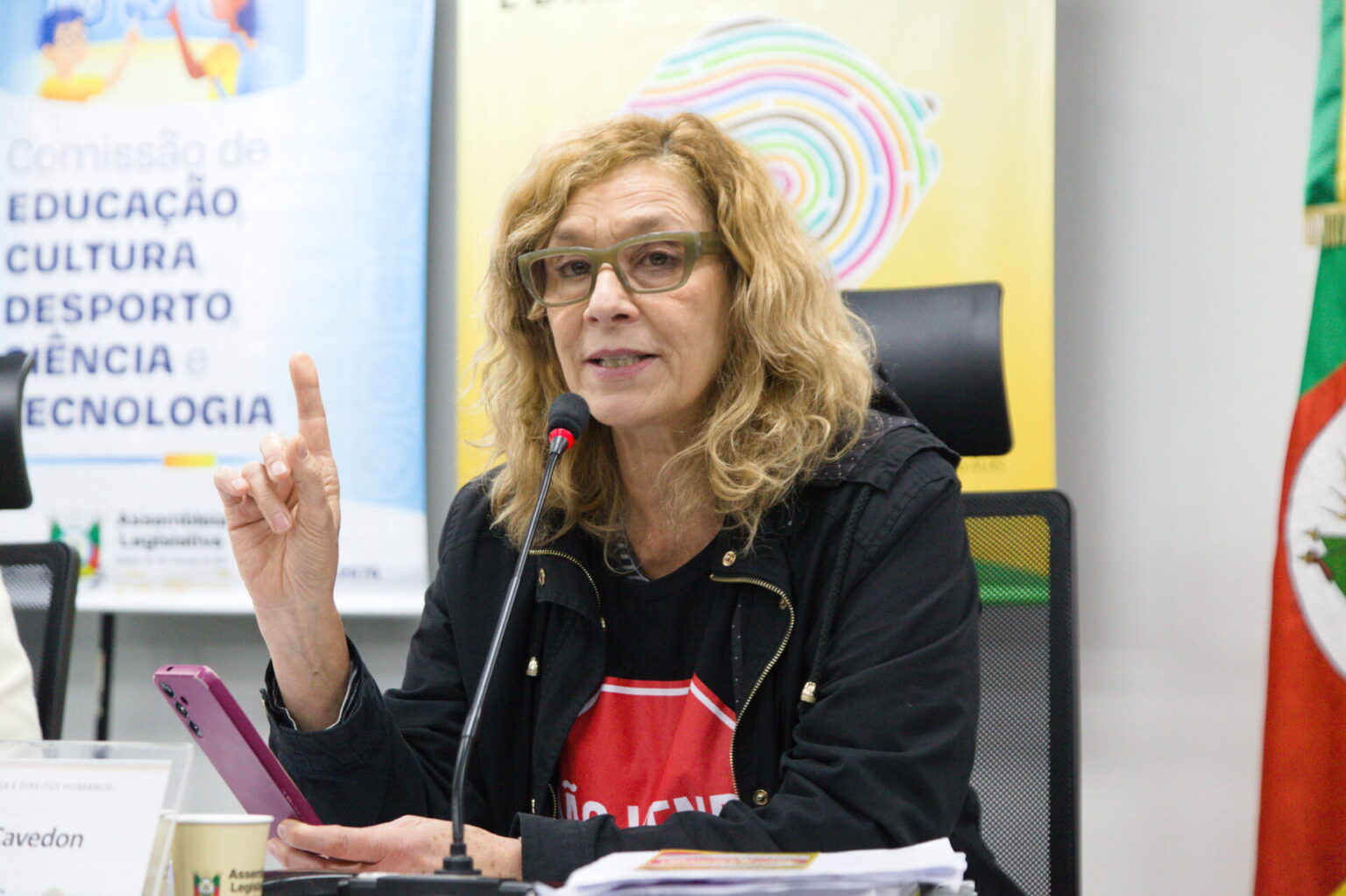 Projeto de Sofia Cavedon que estabelece critérios para obras em escolas estaduais é aprovado na CCJ