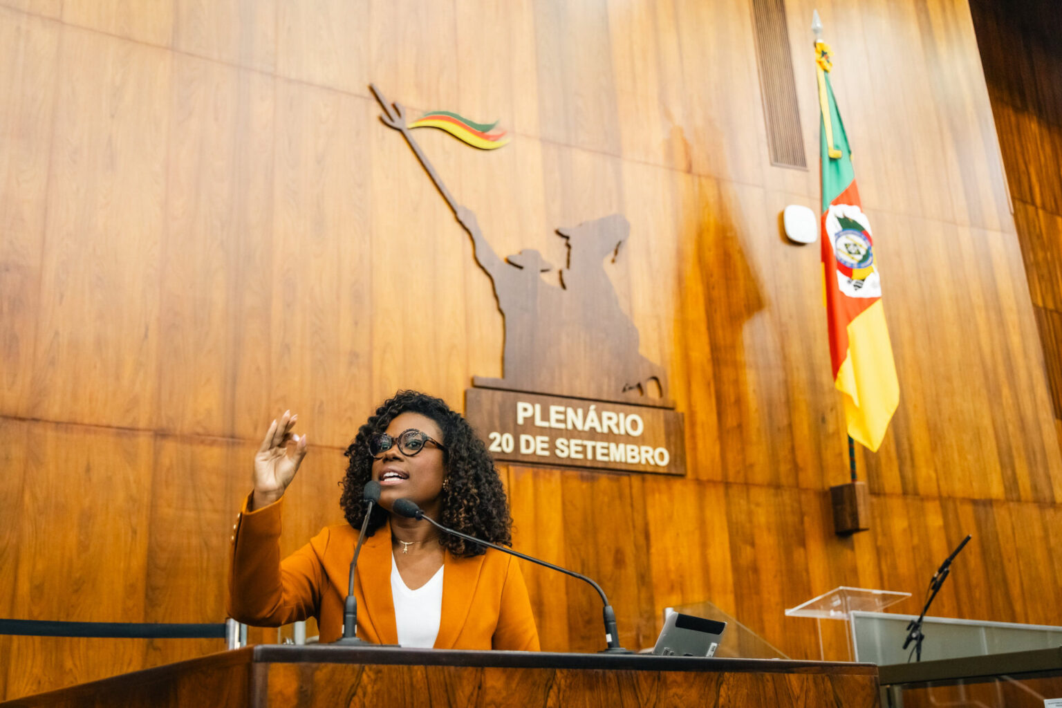 Laura Sito denuncia possível conflito de interesses em conselho dos recursos da reconstrução Laura Sito denuncia possível conflito de interesses em conselho dos recursos da reconstrução