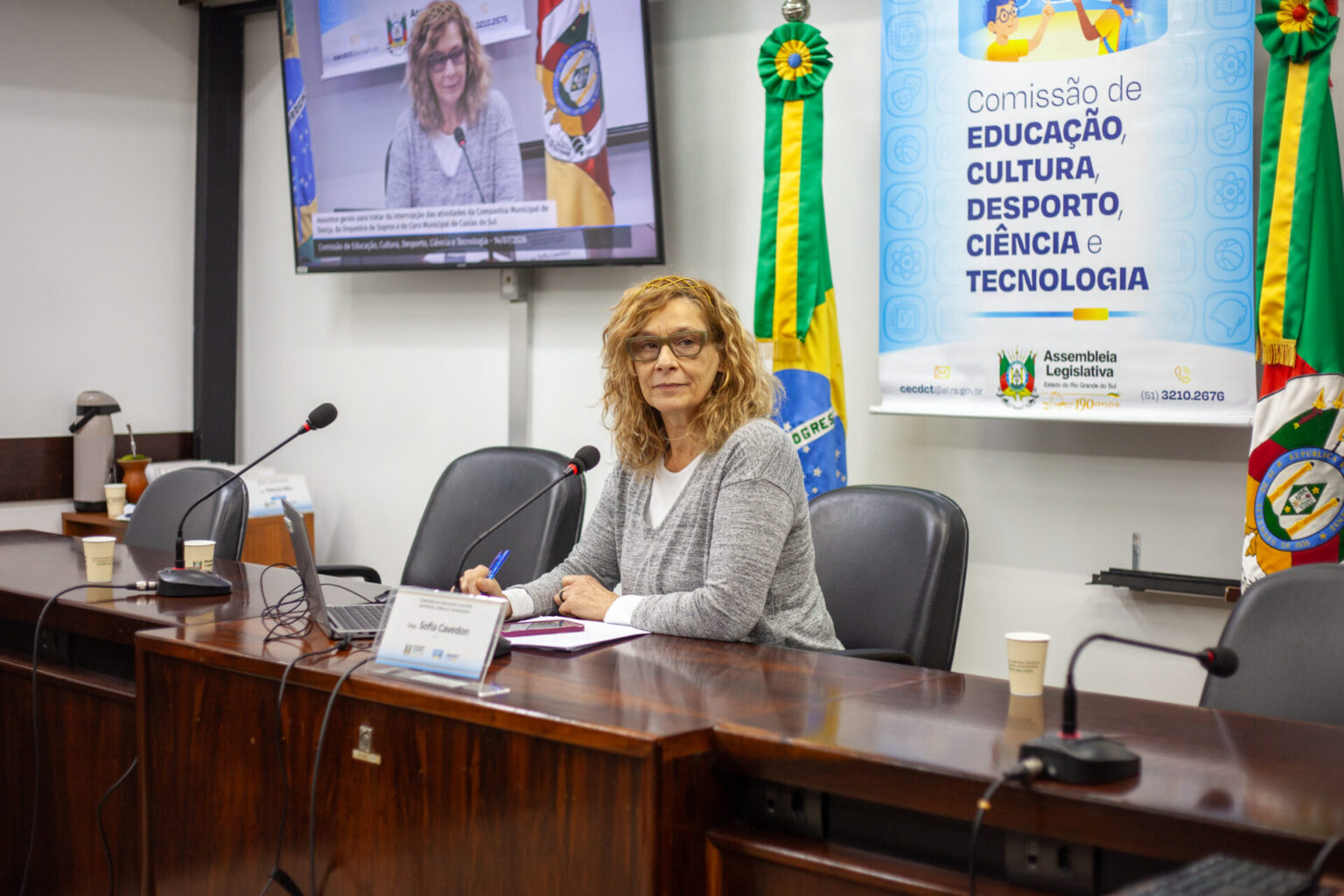 Sofia Cavedon denuncia paralisação de grupos artísticos de Caxias do Sul e cobra reversão da medida Sofia Cavedon denuncia paralisação de grupos artísticos de Caxias do Sul e cobra reversão da medida